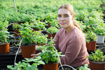Portrait of female worker who taking care of Melissa plants in glasshouse farm