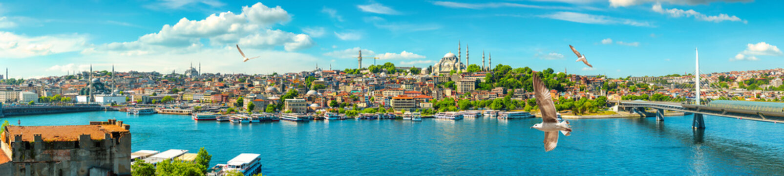 View of Suleymaniye Mosque