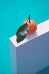 One fresh tangerine with leaves lies on a blue wooden table. Vertical photo with empty space on top for text