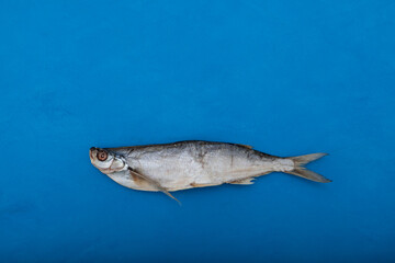 Salty dry fish. Sabrefish (Pelecus cultratus) - popular beer appetizer in Russia