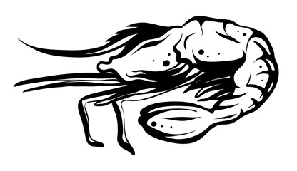 Shrimp, hand drawn vector, logo, icon style