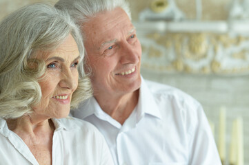 Portrait of happy beautiful senior couple posing at home