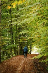 Obraz premium Man walking in the woods