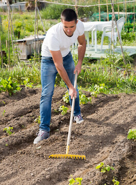 Young man gardener with rake working at land in garden outdoor