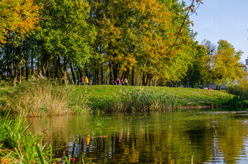 Landscape with autumn park in the sunny day. Yellow and green trees are displayed with reflection on the lake.
