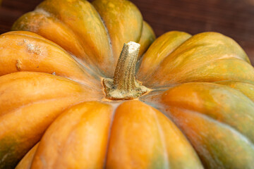 Close up photo of a pumpkin's tail