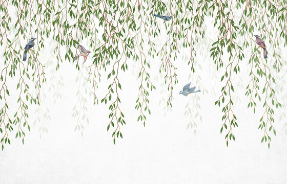 Willow branches hanging from above with birds on a white background. Wallpaper, murals and wall paintings for interior printing.