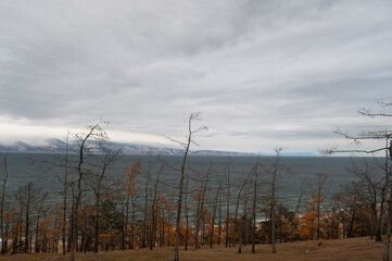 
Baykal ozero prsnaya voda 
flora bereg zapovednik Rossiya Irkutsk park ostrov Ol'khon skaly...