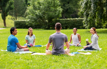 fitness, sport and healthy lifestyle concept - group of happy people sitting on yoga mats at park