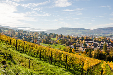 Obraz premium Arlesheim, Dom, Weinberg, Birstal, Birsebene, Aesch, Dornach, Pfeffingen, Laufental, Dorf, Herbst, Herbstlaub, Baselland, Schweiz