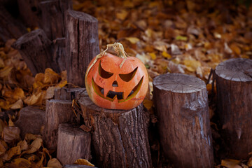 Halloween pumpkin on a stump