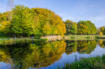 Fototapeta na wymiar Landscape with autumn park in the sunny day. Yellow and green trees are displayed with reflection on the lake.