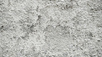 texture of an old concrete wall. Space for your text and advertising. Trendy monochrome background