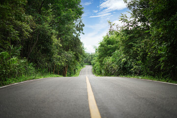 The road that goes smoothly in a straight line and curves Among the natural forests and trees are green. There is a bright sky. During the rainy season.