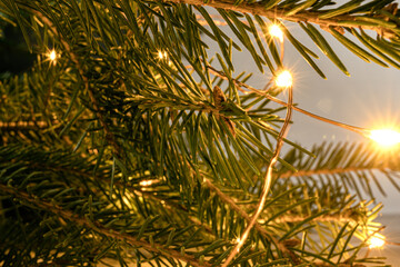 Fototapeta na wymiar golden christmas tree, Christmas tree