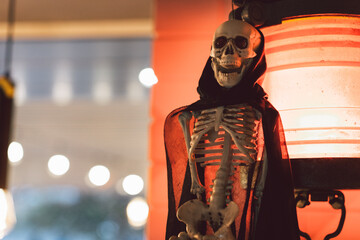 The Skeleton is hanging on a lantern in a cafe. Terrible creatures. Halloween concept