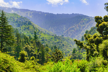 Naklejka premium View enroute to Prashar Lake trekk trail through river bed. It is located at a height of 2730 m above sea level surrounded by lesser himalayas peaks near Mandi, Himachal Pradesh, India.