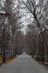 Irkutsk buildings streets traffic island bridge Baikal streets squares alleys roads trees autumn cloudy