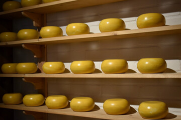 heads of cheese on wooden shelves