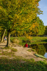 Landscape with autumn park in the sunny day. Yellow and green trees are displayed with reflection on the lake.