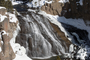 Fototapeta na wymiar Winter scene in Yellowstone National park