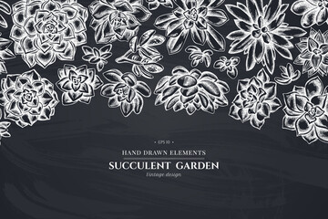 Floral design with chalk succulent echeveria, succulent echeveria, succulent