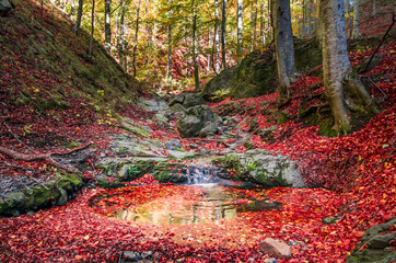 Amazing autumn forest landscape. Little stream flowing into the woods between rocks and trees. The...