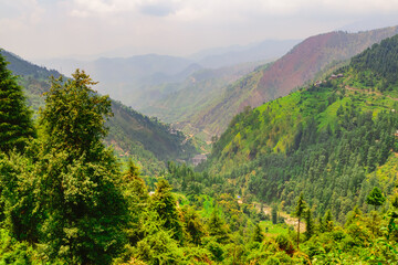 Naklejka premium View enroute to Prashar Lake trekk trail. It is located at a height of 2730 m above sea level surrounded by lesser himalayas peaks near Mandi, Himachal Pradesh, India.