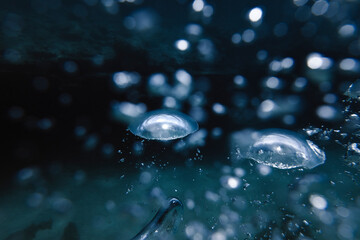 Burbujas submarinas en el Océano Atlántico
