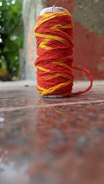 Cotton kalawa thread role or Mauli used in Hindu's for wearing in wrist during puja (worship). Closeup view of Red religious cotton thread in indian temple