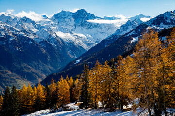 Autumn colours of the forests and mountains in the  Swiss Alps of Valais