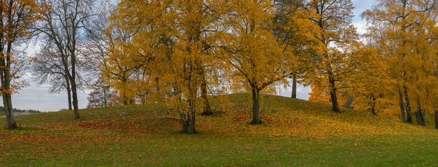Color full autumn landscape in the district Bromma in Sweden