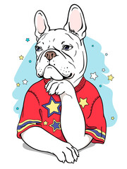 Cute cartoon french bulldog in a t-shirt. Portrait of a dog. Stylish image for printing on any surface