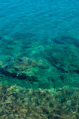 coral reef and sea