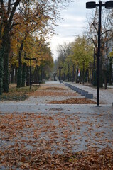 Busko Zdrój , puste ulice ,covid 19 Busko Zdrój , jesień 2020 Busko Zdrój , Busko Zdrój bez ludzi , bez ludności ulice , Busko Zdrój bez kuracjuszy , puste ulice pandemia w Busku Zdroju , Park w Busku © Szymon