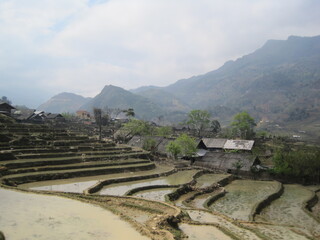 The stunning rice terraces and mountains in the Sa Pa region of Northern Vietnam, Asia