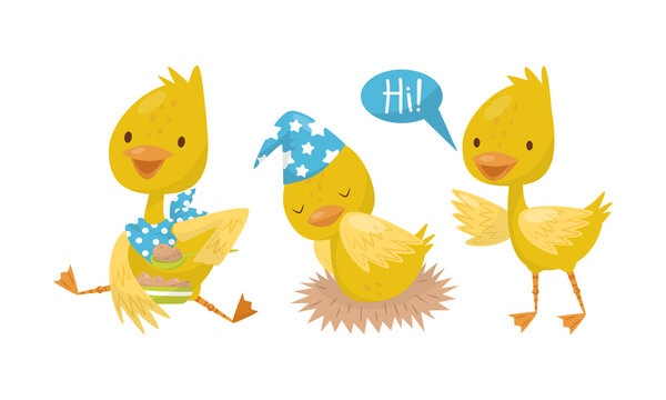 Cute Yellow Duckling Eating Porridge, Sleeping in Nest and Greeting Vector Set