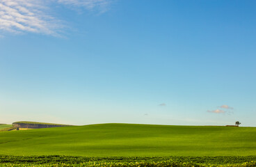 Fototapeta na wymiar field with blue sky and cloudsBeautiful countryside screen background with green lawn and blue sky