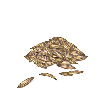 Watercolor pile of cumin seeds on white. Culinary ingredient for seasoning, recipe, packaging design.