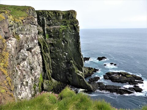 Die Steilk&uuml;ste von L&aacute;trabjarg auf Island ist ein Vogelparadies - Die Klippen sind hervorragend geeignet um V&ouml;gel zu beobachten, wie Papageitaucher , Dickschnabellummen oder Dreizehenm&ouml;ven