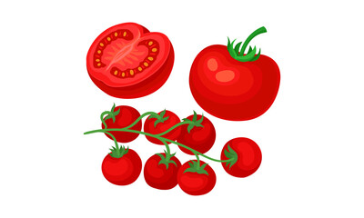 Red Tomato Ripe Vegetable as Organic Food Vector Set