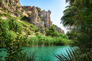 Fototapeta na wymiar River and palm forest at Preveli, southern Crete , Greece