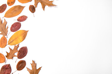 Beautiful autumn composition with dried leaves nuts and berries on white background