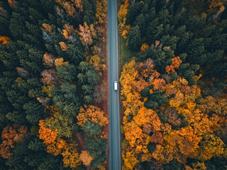 Car rides on the road in a beautiful autumn forest, photo from a drone. Beautiful autumn forest landscape, top view.