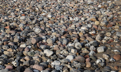 beach with pebble stones