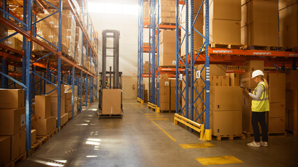Retail Warehouse full of Shelves with Goods in Cardboard Boxes, Workers Scan and Sort Packages, Move Inventory with Pallet Trucks and Forklifts. Product Distribution Delivery Center. © Gorodenkoff