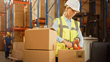 In Retail Warehouse Professional Worker Packing Parcel, Cardboard Box Sealed with Tape Dispenser...