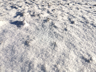 Texture of white sparkling snow surface. Winter background