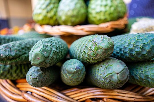 Monstera Deliciosa Fruit" Images  Browse 32 Stock Photos, Vectors, and  Video | Adobe Stock