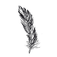 Feather on white background. Hand drawn sketch style.	